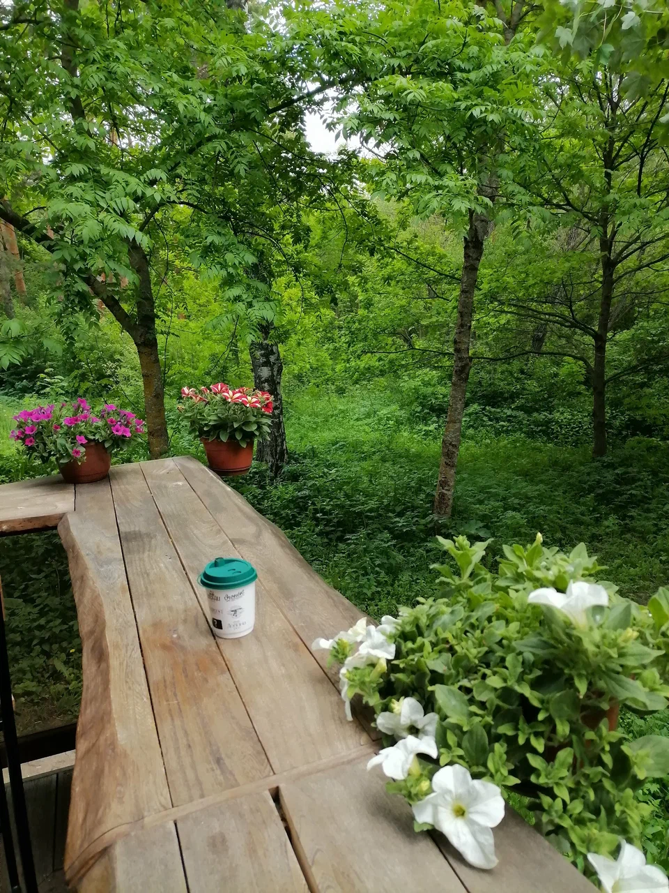 Санаторий им. Кирова 